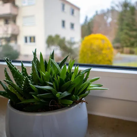 Seewaldblick - Ferienwohnung Am Bodensee Friedrichshafen Exterior photo