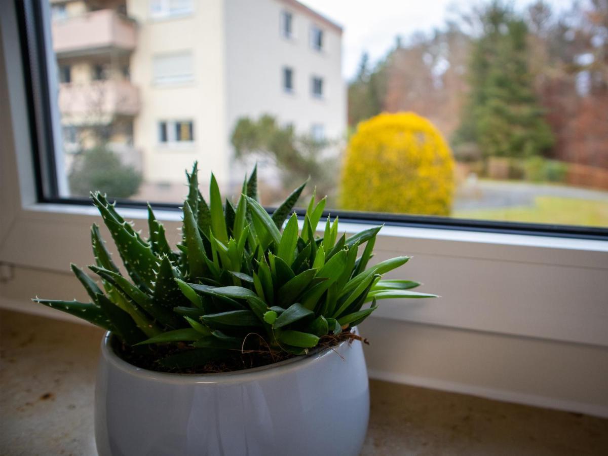 Apartment Seewaldblick - Am Bodensee